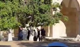 #شاهد مستوطنون يقتحمون المسجد الأقصى صباح اليوم