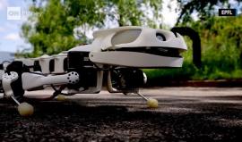 #شاهد روبوت مصمم للسير بنفس حركة "السمندل" أحد الحيوانات البرمائية !