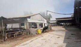 #فيديو الاعلام العبري ينشر فيديو لاشتعال النيران في حظيرة بناحل عوز بفعل بالون حارق أطلق من غزة