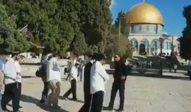 #فيديو مئات المستوطنين يقتحمون المسجد الأقصى المبارك منذ الصباح