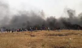 #مباشر تصاعد فعاليات الجمعة الرابعة من #مسيرة_العودة_الكبرى شرق البريج وسط قطاع غزة .

مراسلنا : احمد المقادمة