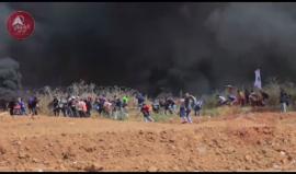 #شاهد "لا تستفزوا الأسود في العرين".. شبان يسحبون السلك الزائل على حدود جباليا الشرقية