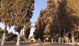 #مباشر جولة في المسجد الأقصى المبارك -
 العاصمة الفلسطينية القدس

تصوير:المقدسي يحيى أبوزنيد