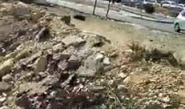 #فيديو من مكان العملية .. 

الاحتلال يطلق النار صوب شاب جنوب بيت لحم بزعم محاولته تنفيذ عملية طعن