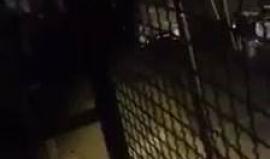 #شاهد مسيرة استفزازية للمستوطنين في منطقة حارة جابر وادي الحصين في الخليل أعقبها هجومهم على منازل المواطنين 
تصوير خالد الجعبري