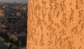 #مباشر أجواء غزة الآن