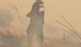 #شاهد| ملك الأردن يحمل أسطوانة إطفاء ويشارك بإخماد حريق في محيط القصور الملكية