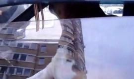 فيديو طريف .. 

تركه صاحبه داخل السيارة .. #شاهد ماذا فعل هذا الكلب؟