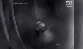 أطلقوا عليه النار واعتدوا عليه بشكل وحشي .. 

#فيديو كامل يكشف جريمة اعدام الشاب ياسين السراديح على يد جنود الاحتلال في أريحا نشرته مؤسسة بتسيلم الإسرائيلية الحقوقية