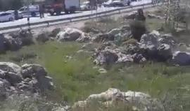 مقطع آخر من مكان عملية الدهس قرب مستوطنة