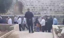 #شاهد المسجد الأقصى يتعرض لاقتحام صهيوني واسع منذ الصباح