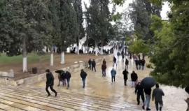 #شاهد #مباشر أجواء صلاة الجمعة من المسجد الأقصى المبارك - من العاصمة الفلسطينية القدس