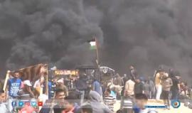 #شاهد | الجمعة الرابعة من مسيرات العودة الكبرى
تقرير | هنادي نصرالله