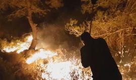 #شاهد| استمرار اشتعال النيران في أحراش قرية جيبيا شمال رام الله وشهود عيان يؤكدون أن المستوطنين يشعلون الأحراش تحت جنح الظلام . 

تصوير: مصعب سعيد