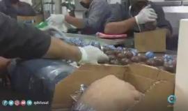 #شاهد صناعة " الشتوي " في غزة