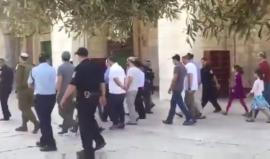 فيديو من اقتحام المستوطنين للمسجد الأقصى المبارك صباح اليوم