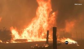 فيديو - إعلان الطوارئ جراء حرائق تمتد بسرعة في منطقة "بلو كت" شرق لوس انجليس وإجلاء 82 الفا و600 شخص