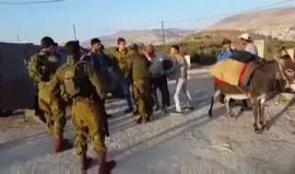 قوات الاحتلال تطرد مزارعي قرية دير الحطب شرق نابلس من أراضيهم خلال قطفهم ثمار الزيتون