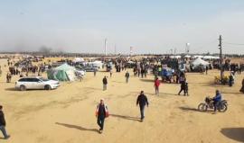 #مباشر تواصل اعتداءات قوات الاحتلال على المتظاهرين شرق رفح جنوب قطاع غزة في #جمعة_الشباب_الثائر
بث محمد قنديل