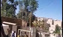 #شاهد 
 حصاد عمليات الطعن خلال عام 2016
تقرير رزق حجاج