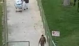 #فيديو لحظة وصول مصابي جيش الاحتلال بانفجار خانيونس الى المستشفى سوروكا

(فيديو متداول)