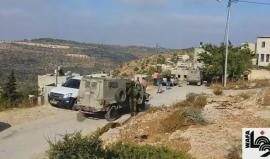 مستوطنون يحرقون سيارات للمواطنين في قرية ام صفا شمالي غرب رام اللهتصوير: رشا حرز الله/وفا
