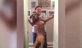 ردة فعل مضحكة للكلاب خوفا من الاستحمام =D