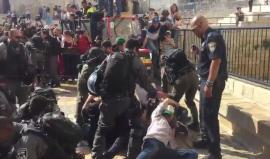 #شاهد | اعتداء قوات الاحتلال على فلسطينيين وأجانب واعتقال فتاة أمام باب العامود بالقدس المحتلة بالتزامن مع بدء ما يسمى "مسيرة الاعلام" للمستوطنين.