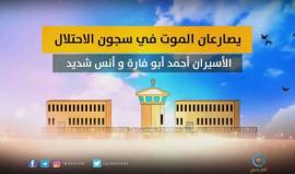 الاسيران انس شديد واحمد أبو فارة يواصلان إضرابهما عن الطعام لليوم 87 على التوالي.