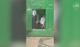 #فيديو المستوطنون على بوابات الأقصى صباح اليوم 

يُشار الى أن 280 مستوطنا اقتحموا الأقصى منذ الصباح وحتى اللحظة