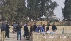 مستوطنون يقتحمون المسجد الأقصى المبارك