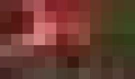 #فيديو "عاصفة نارية" في كاليفورنيا