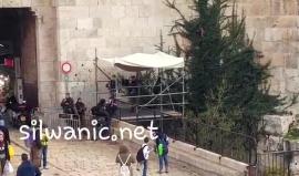 تفتيش شاب في منطقة باب العامود بالقدس بطريقة استفزازية ومهينة واجباره على خلع سترته في الأجواء الشتوية الماطرة