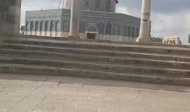 من المسجد الأقصى المبارك 
#الاقصى_صبح_فاضي 
#فطورك_في_الاقصى
#باب الرحمة_الان