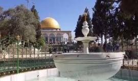 #شاهد
متوضأ الكأس في المسجد الأقصى
تصوير فادي عميرة