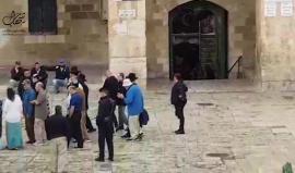 #فيديو 67 مستوطنا ووفد سنغالي يقتحمون الأقصى بحماية قوات الاحتلال منذ الصباح