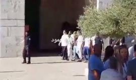 صيحات التكبير تعلو ..

#شاهد مستوطنون يقتحمون المسجد الأقصى بحماية قوات الاحتلال صباح اليوم