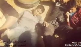 "تقدم لأنك رمز الصمود".. 

#جمعة_الشباب_الثائر