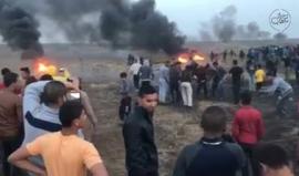 #شاهد وصول الشبان للسياج الفاصل وانتزاعه من شرق مدينة غزة اليوم رغم إصابة عدد منهم برصاص قناصة الاحتلال . 
تصوير ‏‎ALaa Mohsen‎‏