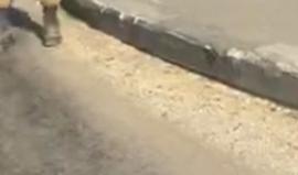 #مباشر  من مستوطنة كريات أربع شرق الخليل   بعد إطلاق النار على شاب بزعم محاولته تنفيذ عملية طعن 
تصوير عامر أبو عرفة