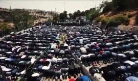#شاهد
 جديد.. كليب يوم النصر يافلسطين ..انتصارا للقدس
فرقة الضياء الإسلامية