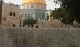 #مباشر من المسجد الأقصى المبارك
