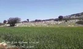 #شاهد تدريبات لقوات الاحتلال على السفوح الشرقية لمدينة طوباس يوم أمس الاثنين .