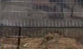 #فيديو اندلاع حريق غرب كيبوتس "نير عام" بفعل بالون حارق أطلق من غزة