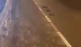 #شاهد 
 لحظة إصابة مجندة عقب استهدافها بالحجارة قرب بلدة صورباهر بالقدس المحتلة.