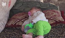 توافد آلاف النازحي من #درعا إلى الشريط الحدودي مع الجولان المحتل في ظل غياب المنظمات الانسانية