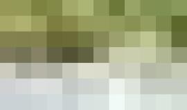 ذئب قطبي ينجح في اصطياد سمكة السالمون باحترافية ومهارة عالية في ولاية ألاسكا الأميركية

الفيديو: Chris Bray Photography