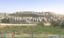 تقرير: تزايد الاستيطان بنسبة 17% عن السنوات الماضية في الضفة الغربية