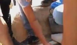 " يا عمر يا ابن الخطاب جبنالك شيخ الشباب" 
#شاهد | الهتافات لحظة إنزال جثمان الشهيد براء حمامدة إلى قبره، بعد أن ارتقى صباح اليوم برصاص الاحتلال في مواجهات مخيم الدهيشة ببيت لحم .