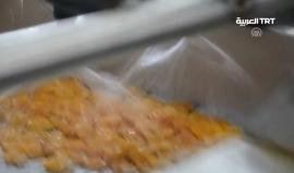 #شاهد| عاصمة المشمش العالمي ملاطيا التركية تنتج 80% من احتياجات العالم من المشمش المجفف